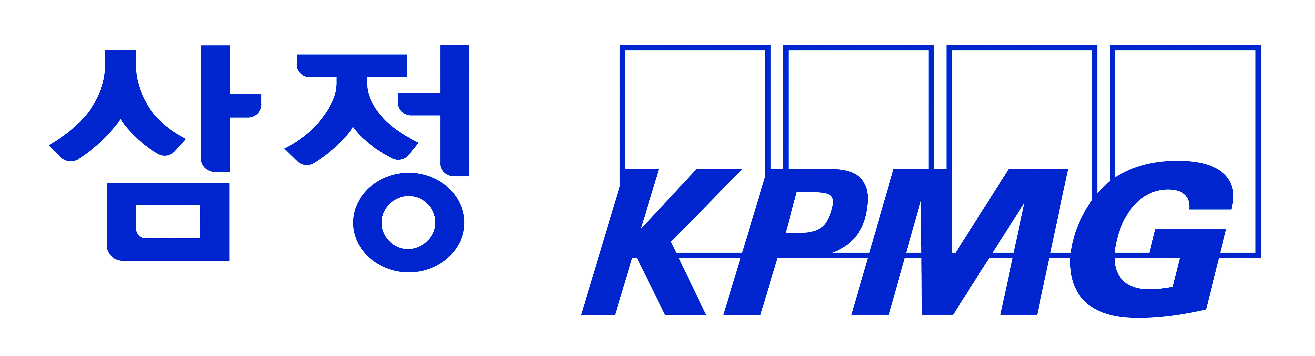 삼정KPMG 로고